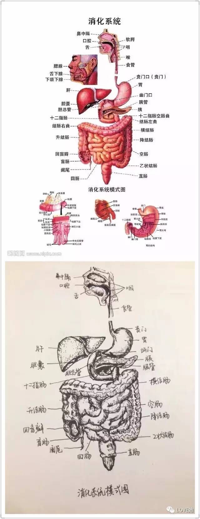 AG真人平台网址