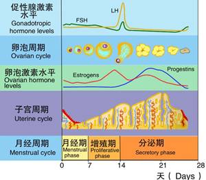 AG真人平台网址